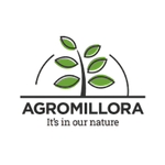 Agromillora